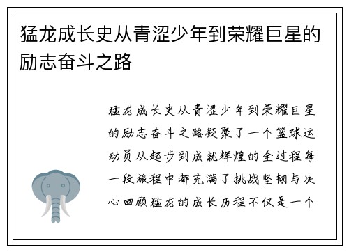猛龙成长史从青涩少年到荣耀巨星的励志奋斗之路